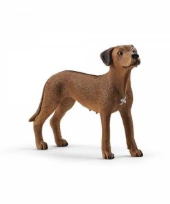 Miniatur Rhodesian Ridgeback, ca. 5,1 cm